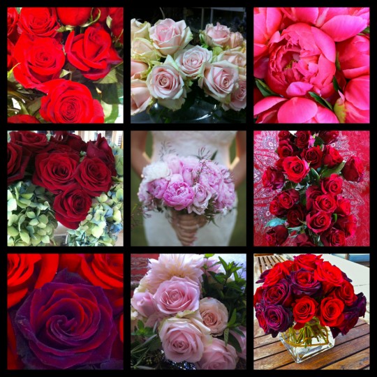 rose collage